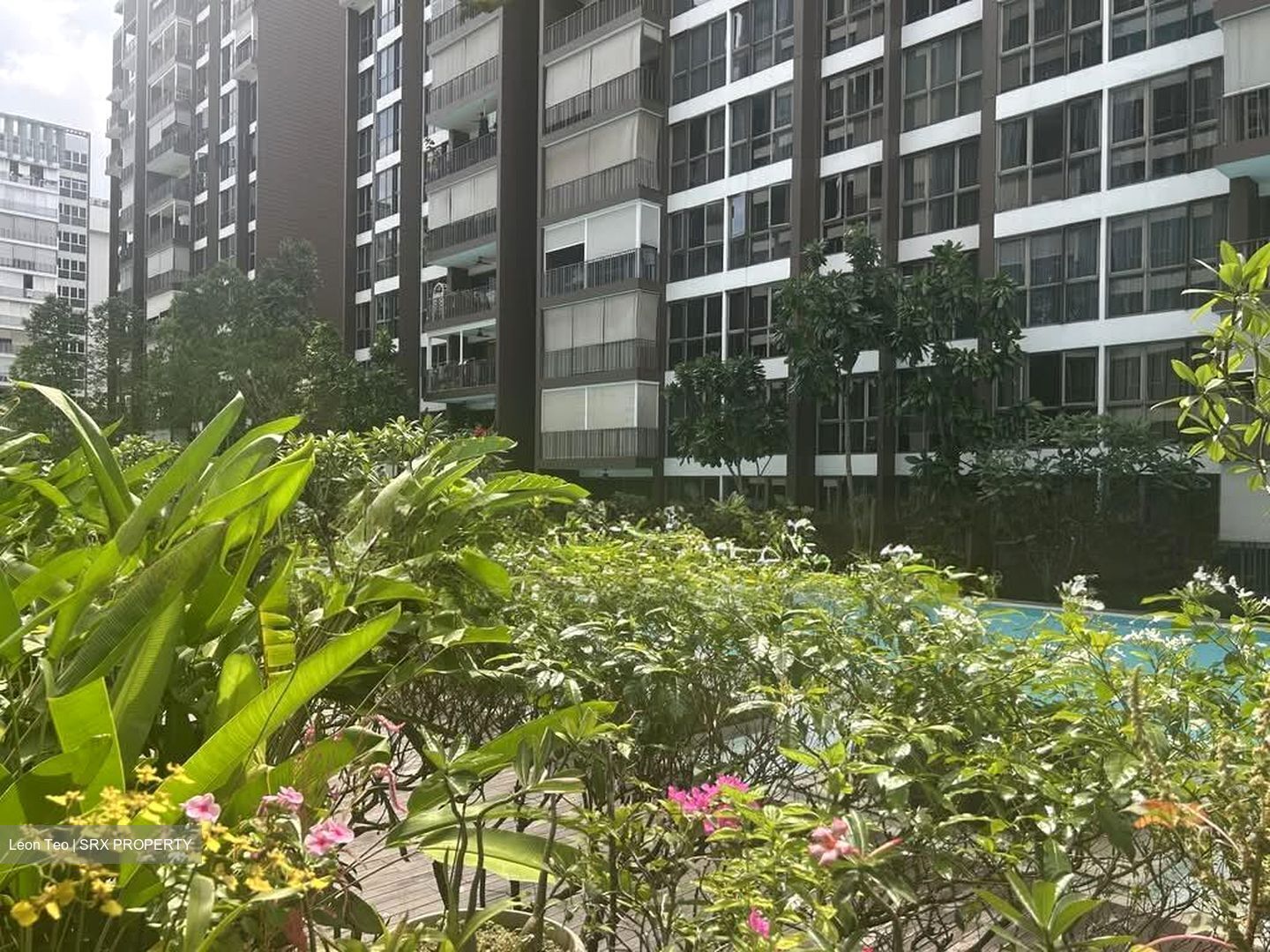Bellewoods (D25), Condominium #569687381